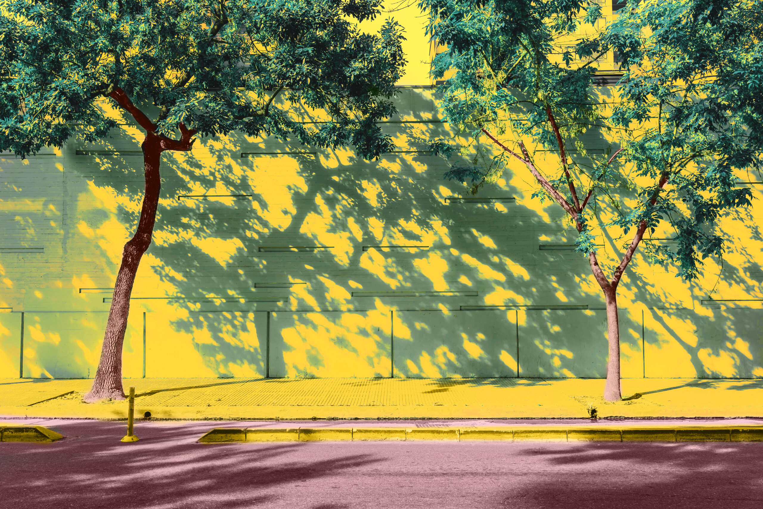 bright-pop-park-landscape